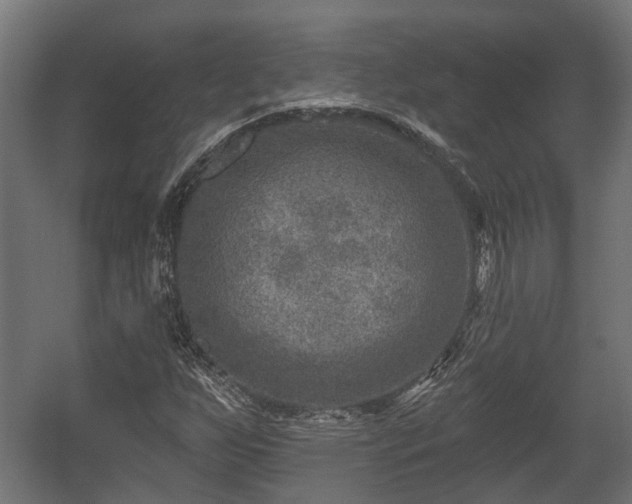 X0000058121255200509261225