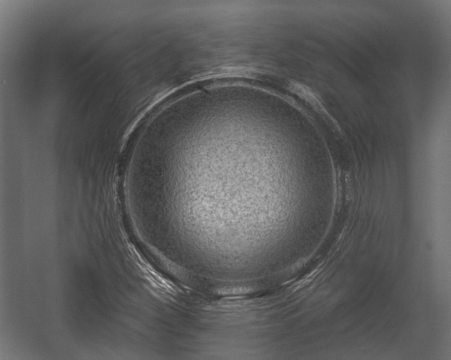 X0000058121260200509261225