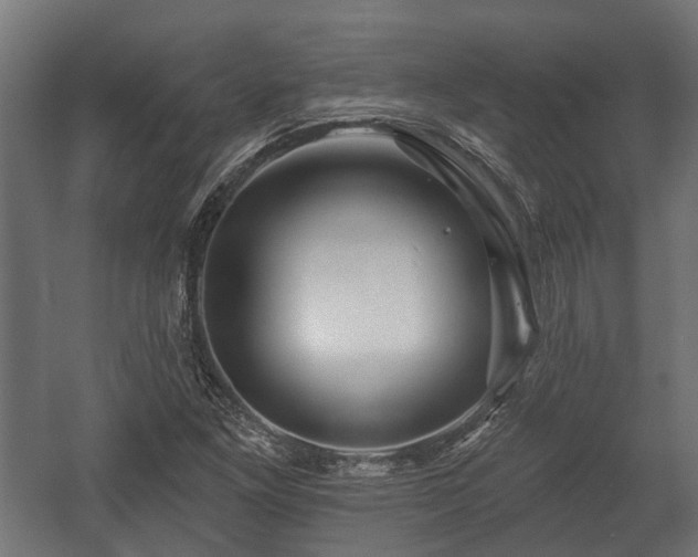 X0000058121261200509261225