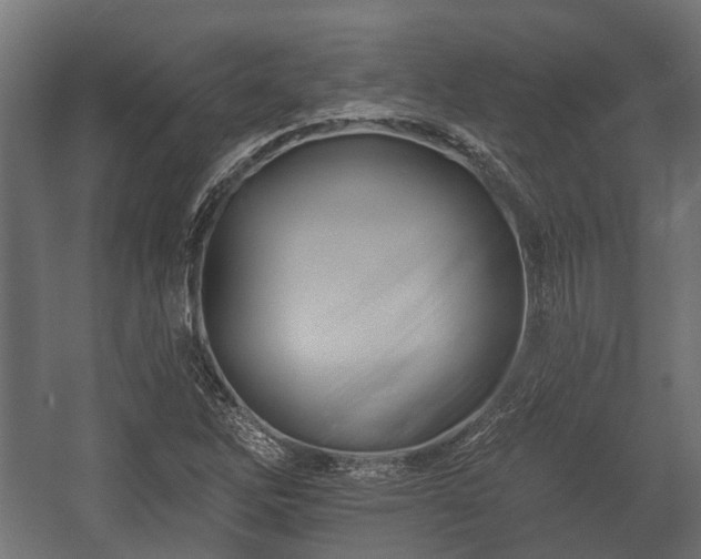 X0000058121262200509261225