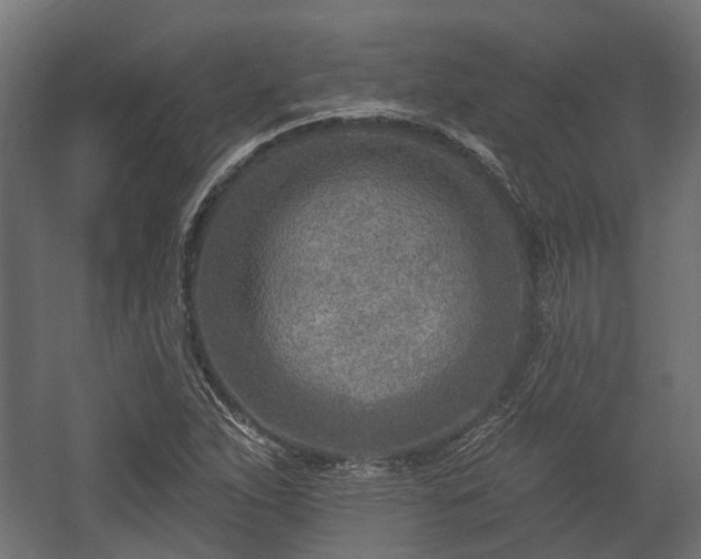 X0000058121263200509261225
