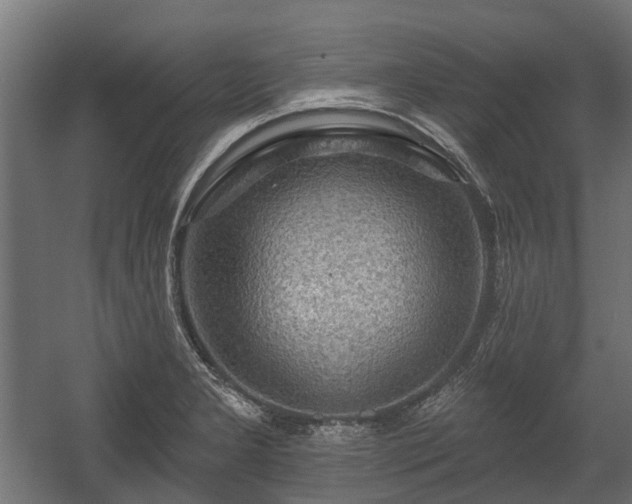 X0000058121277200509261224