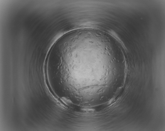 X0000058121291200509261224