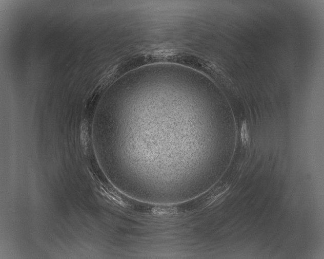 X0000058121299200509261223