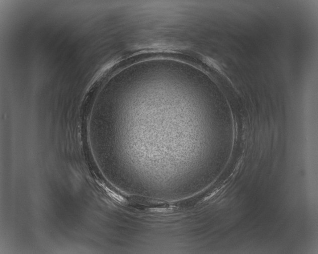 X0000058121307200509261223
