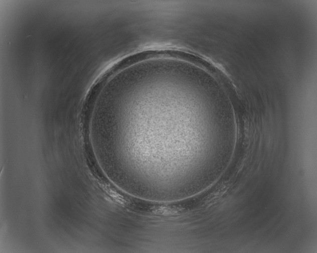X0000058121311200509261224