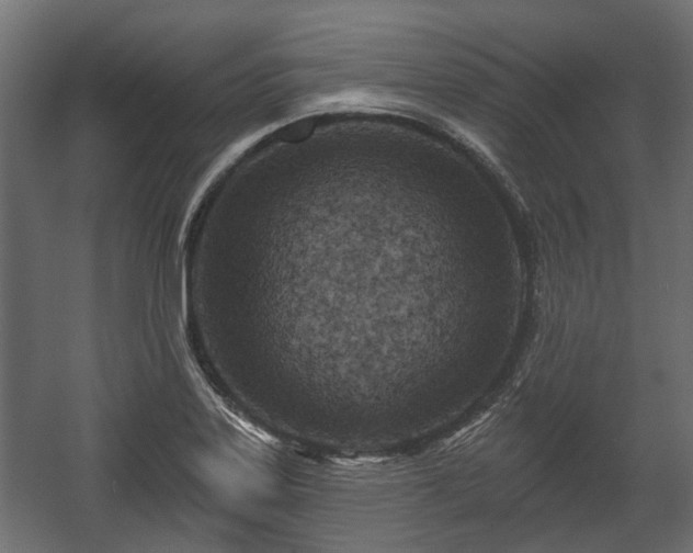 X0000058121323200509261224
