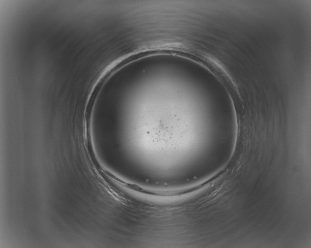 X0000058121324200509261224
