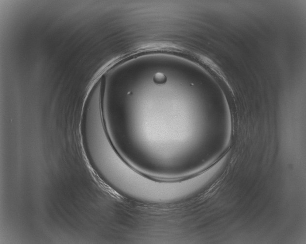 X0000058121330200509261224