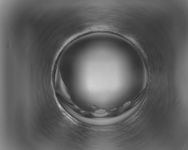 X0000058121342200509261224