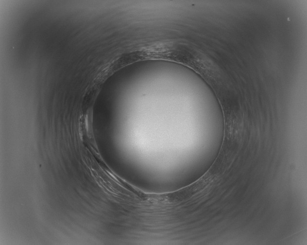 X0000058121346200509261223