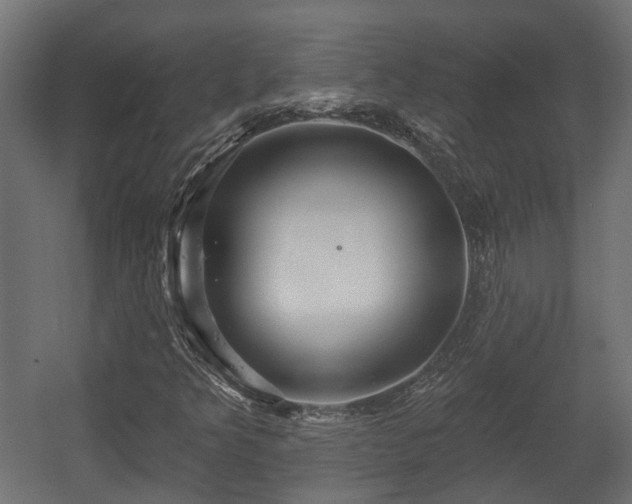 X0000058121349200509261223