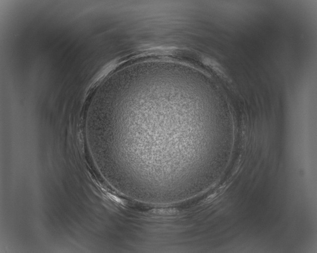 X0000058121354200509261223