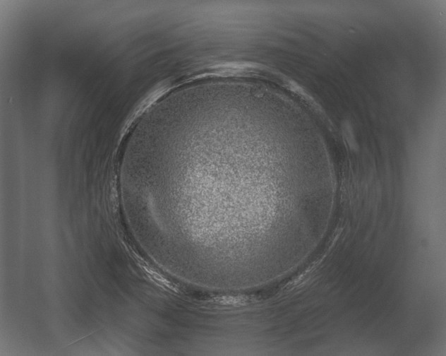 X0000058121362200509261223