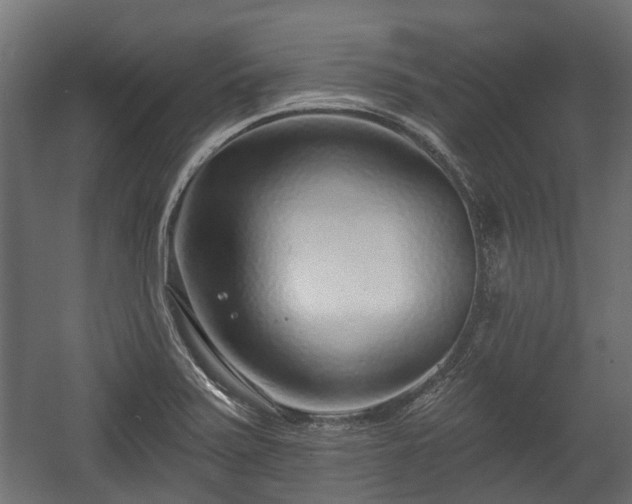 X0000058121371200509261223