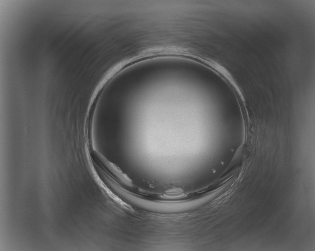 X0000058121389200509261222