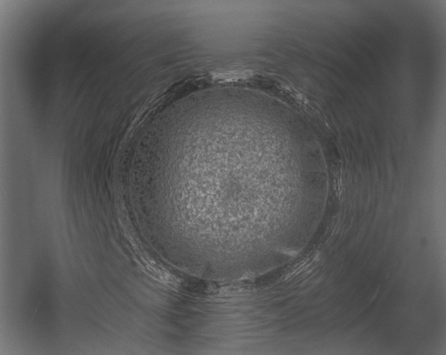 X0000058121393200509261222