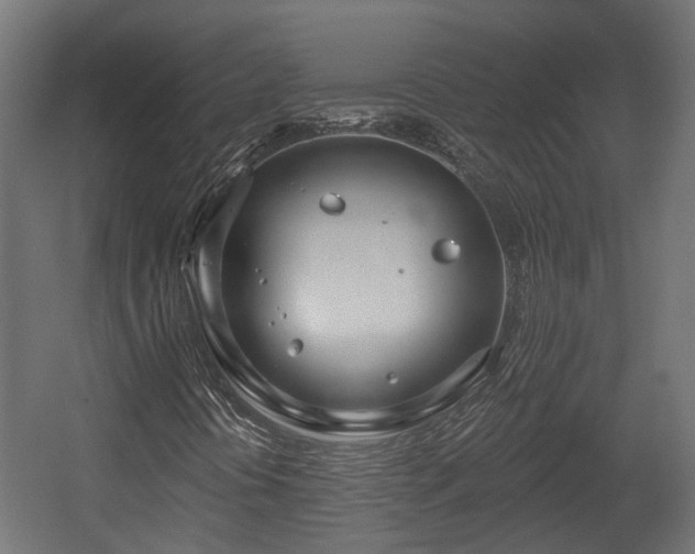 X0000058121394200509261222