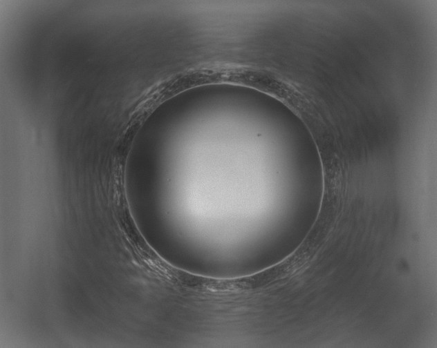 X0000058121397200509261222