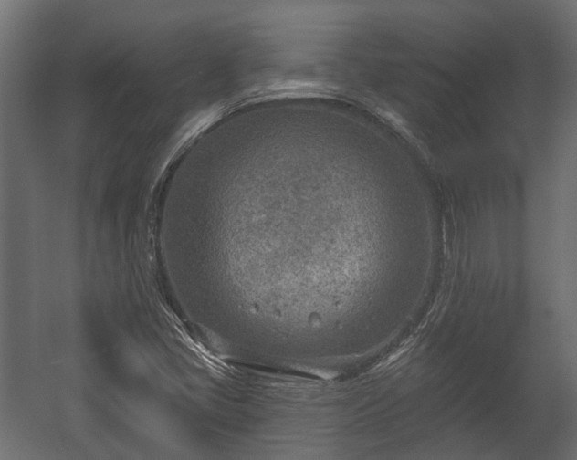 X0000058121405200509261222
