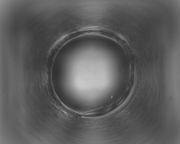 X0000058121406200509261222