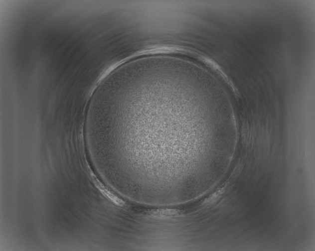 X0000058121417200509261222