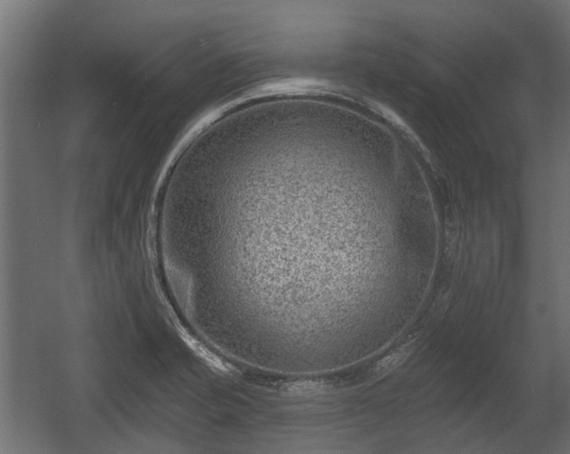 X0000058121421200509261222