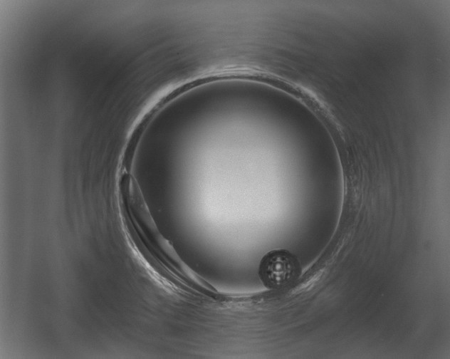 X0000058121422200509261222