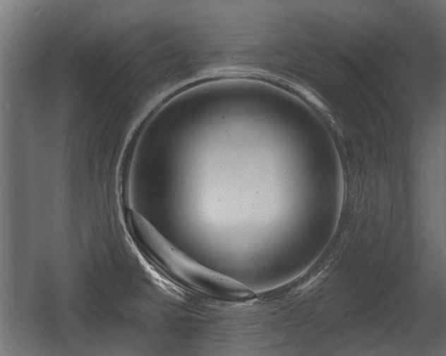 X0000058121430200509261222