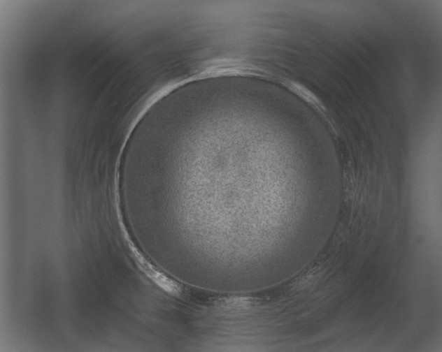 X0000058121431200509261222