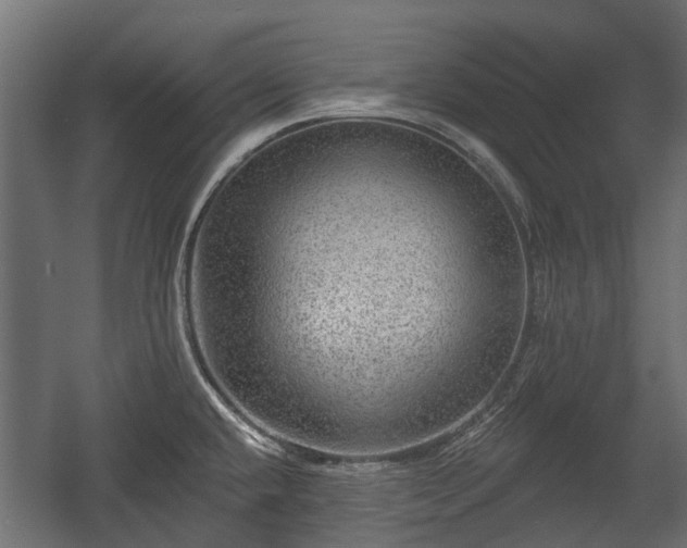 X0000058121432200509261222