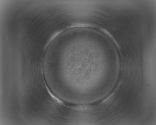 X0000058121433200509261222
