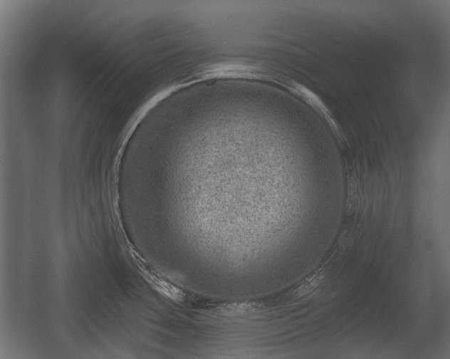 X0000058121435200509261222