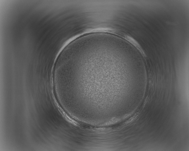 X0000058121436200509261222