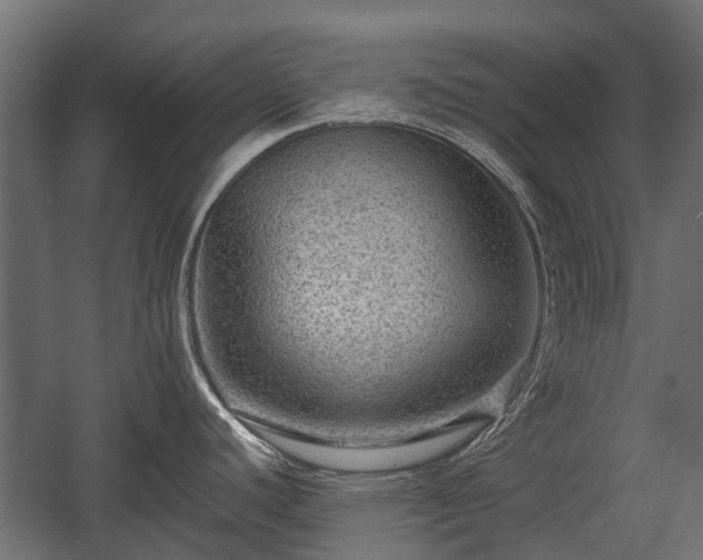 X0000058121440200509261222