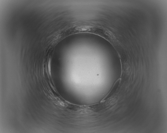X0000058121442200509261222