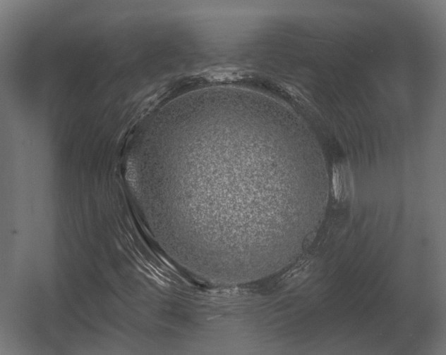 X0000058121444200509261222