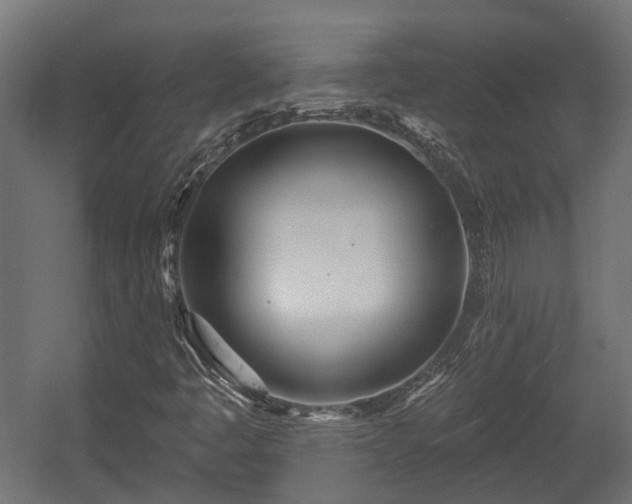 X0000058121445200509261222