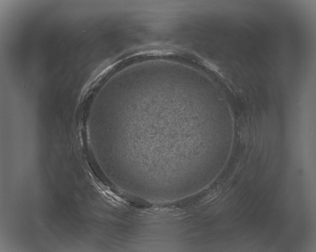 X0000058121448200509261221