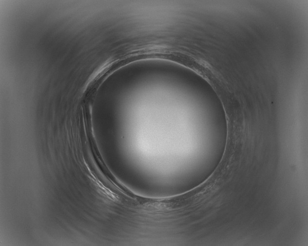 X0000058121450200509261221