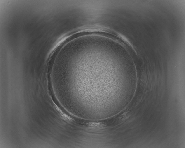 X0000058121456200509261221