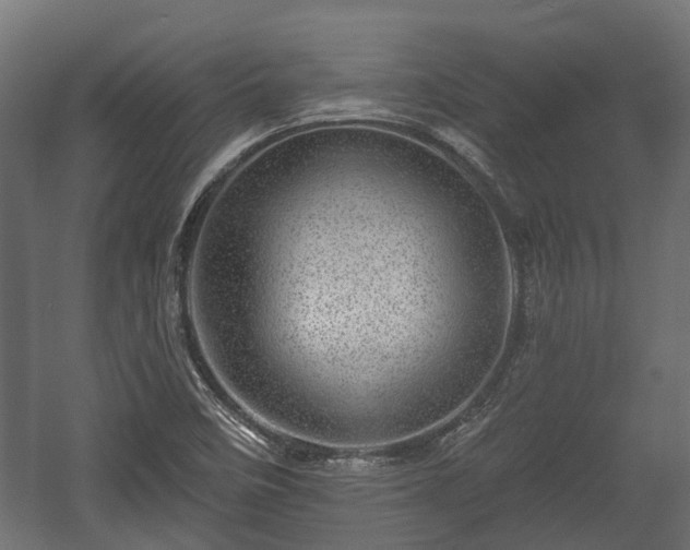 X0000058121458200509261221