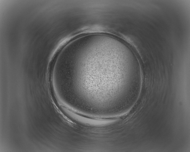 X0000058121464200509261221