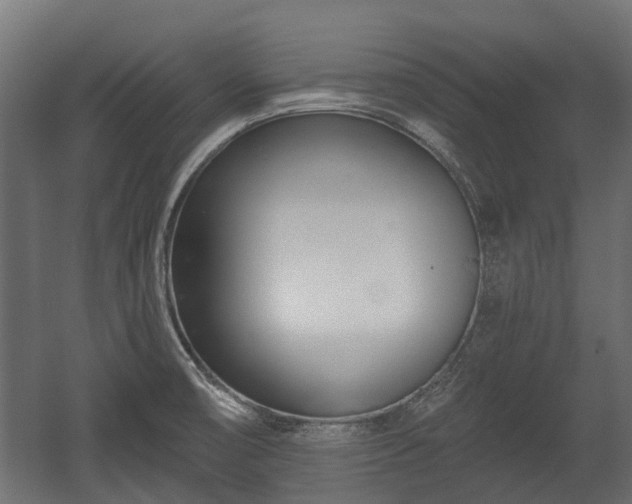 X0000058121474200509261221