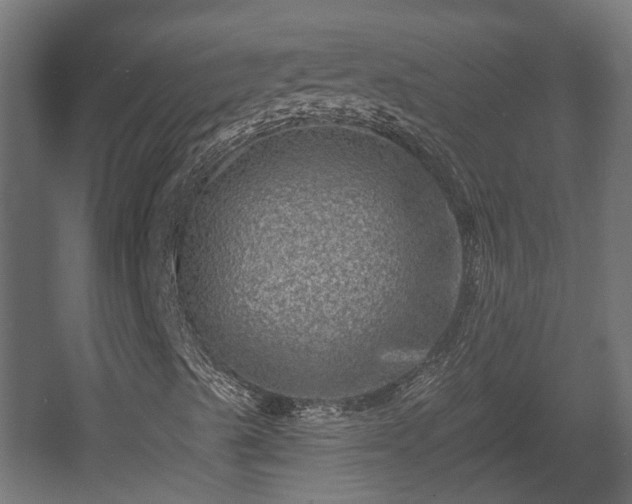 X0000058121489200509261220