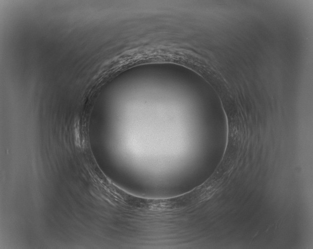 X0000058121490200509261220