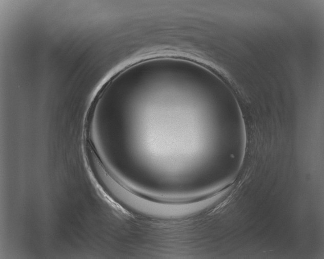 X0000058121518200509261220