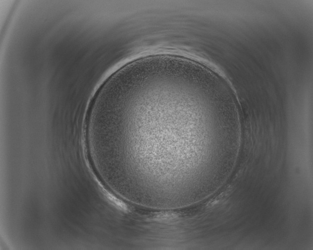 X0000058121525200509261221