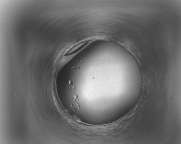 X0000058120001200509301939