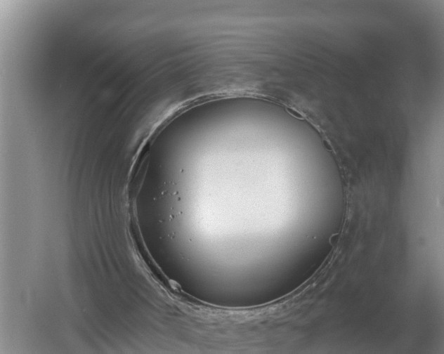 X0000058120002200509301939